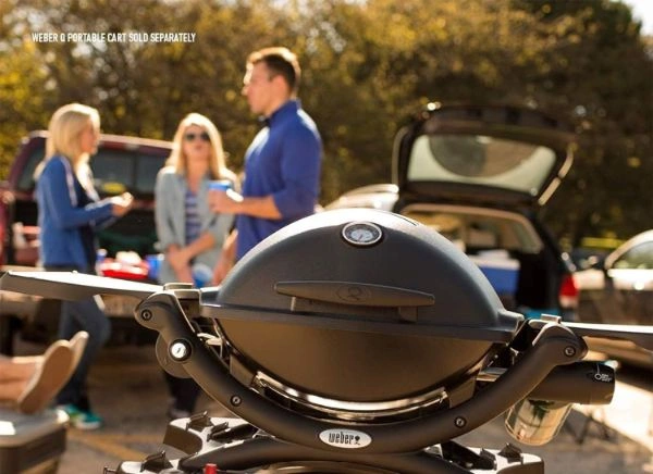 Tineri in fundal la picnic cu gratar electric Weber Q1200 